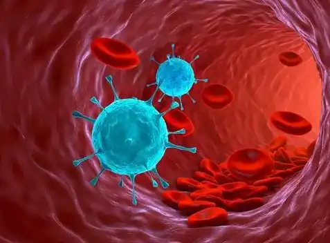 Asparagus racemosus root extract Asparagus racemosus root extract