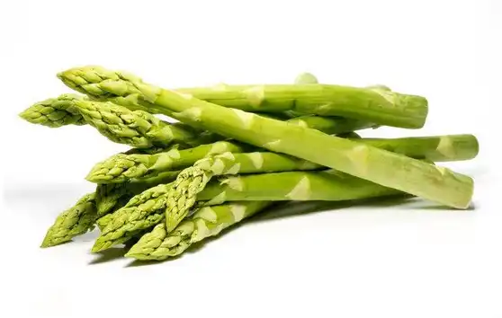 asparagus racemosus root extract  asparagus racemosus root extract