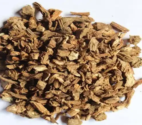 Himalayan Teasel  Himalayan Teasel