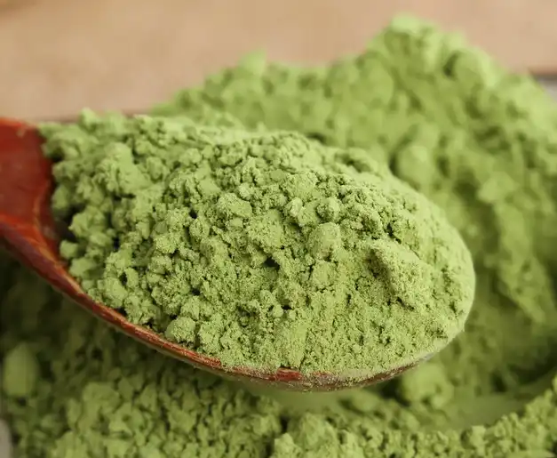 spinach extract powder spinach extract powder