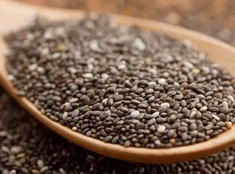 Salvia Hispanica Seed Extract Salvia Hispanica Seed Extract