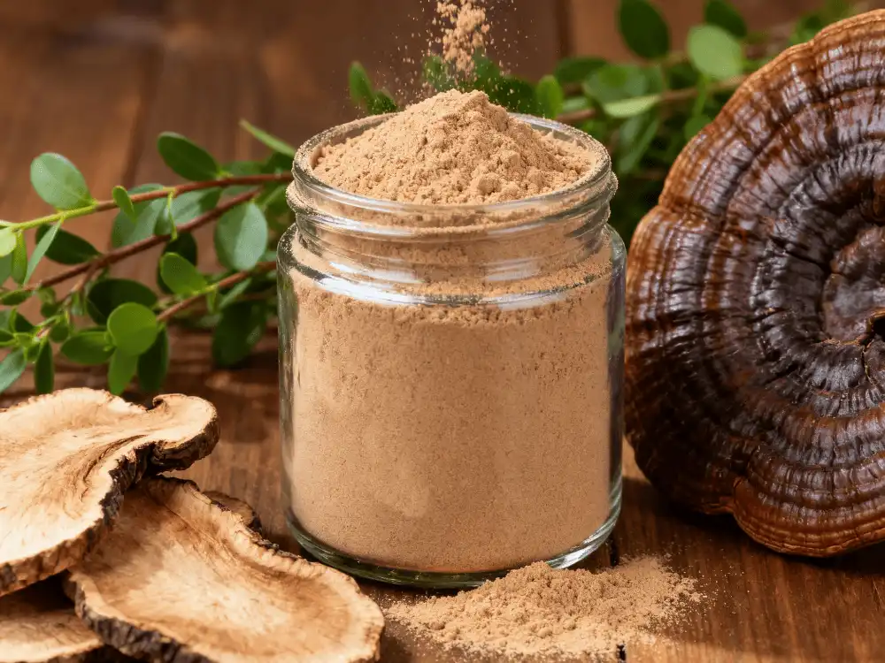 organic reishi mushroom powder organic reishi mushroom powder