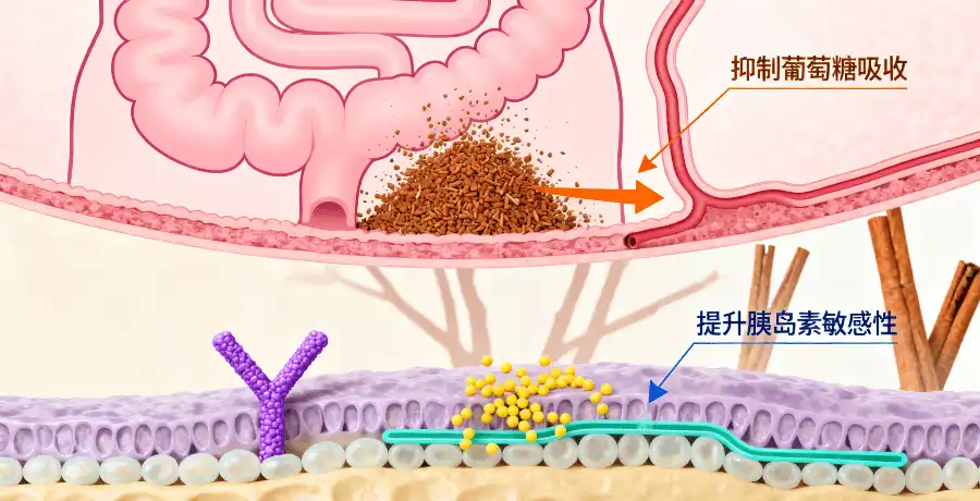 How Cinnamon Affects Glucose Metabolism