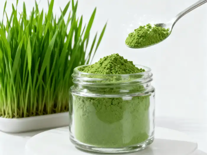 Wheat grass powder Wheat grass powder