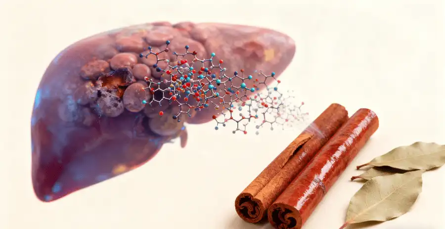 Health Risks Associated with High Coumarin Intake Health Risks Associated with High Coumarin Intake