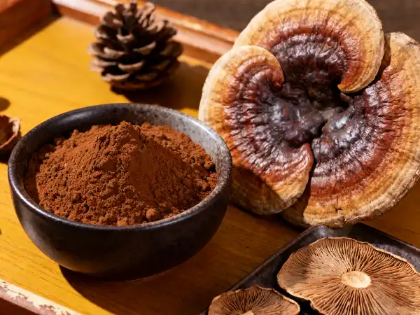 Organic reishi mushroom powder