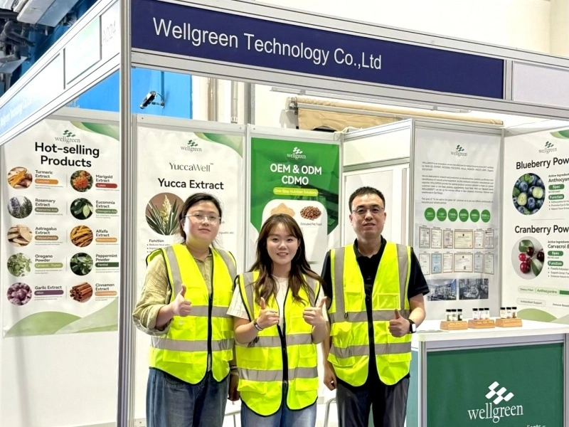 The professional Wellgreen team members standing together in front of their booth at the exhibition.