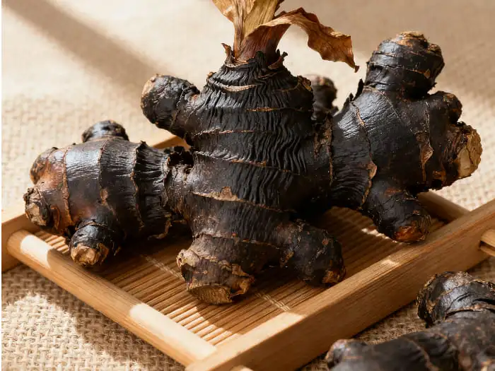 black ginger extract powder