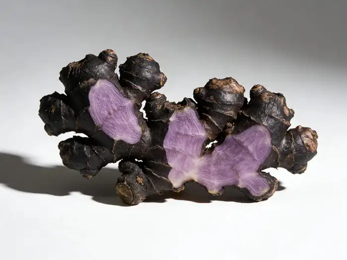 Black ginger extract