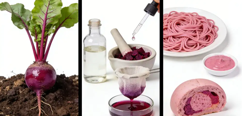 Understanding Beetroot Extract as a Food Coloring Agent Understanding Beetroot Extract as a Food Coloring Agent
