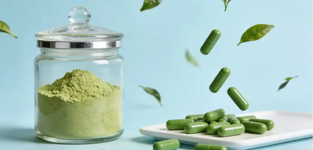 green tea extract Powder versus Capsule Formulations green tea extract Powder versus Capsule Formulations