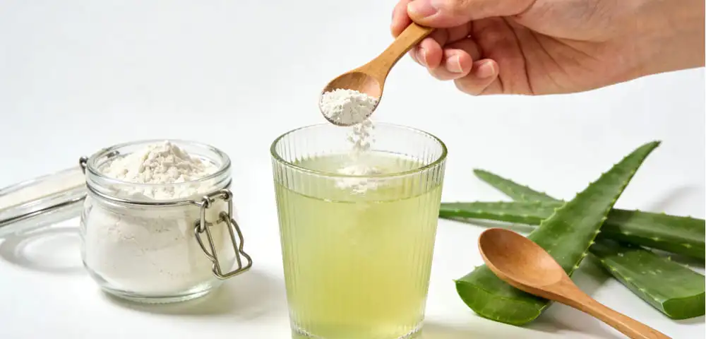 Understanding Aloe Vera Gel Freeze-Dried Powder for Beverage Applications Understanding Aloe Vera Gel Freeze-Dried Powder for Beverage Applications