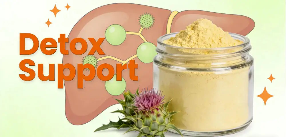 Benefits of Milk Thistle Extract Powder for Detox Supplements Benefits of Milk Thistle Extract Powder for Detox Supplements