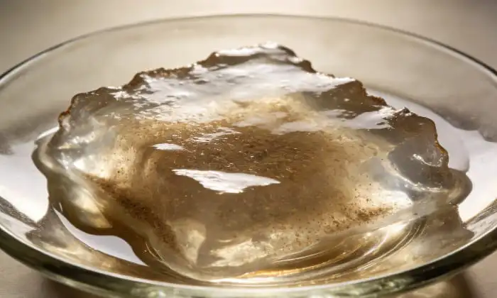 Psyllium Husk Powder