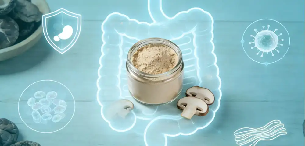Scientific Insights Into How Organic Shiitake Powder Supports Gut and Immune Health