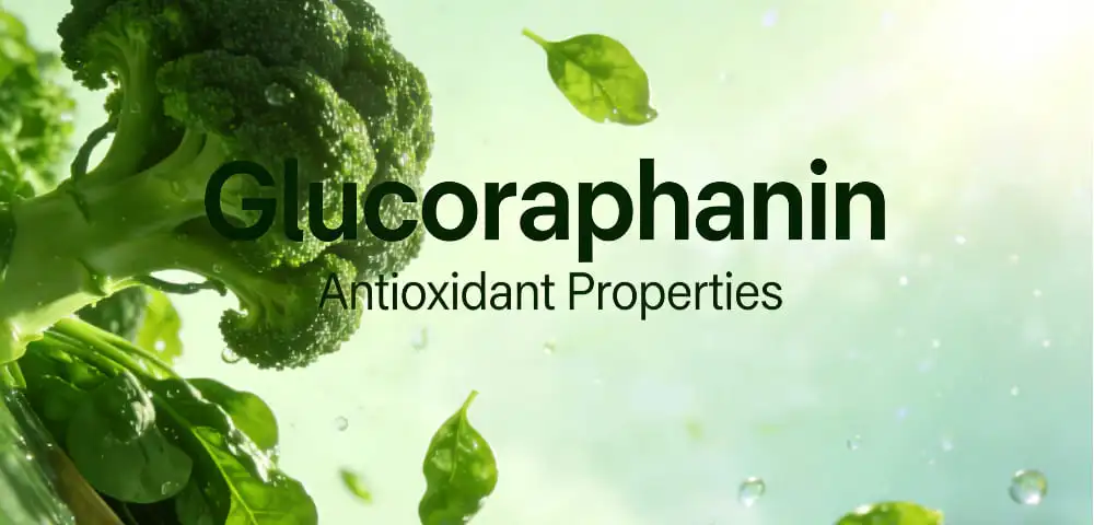 Glucoraphanin Antioxidant Properties Glucoraphanin Antioxidant Properties