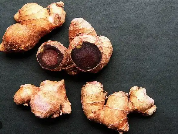 black ginger extract