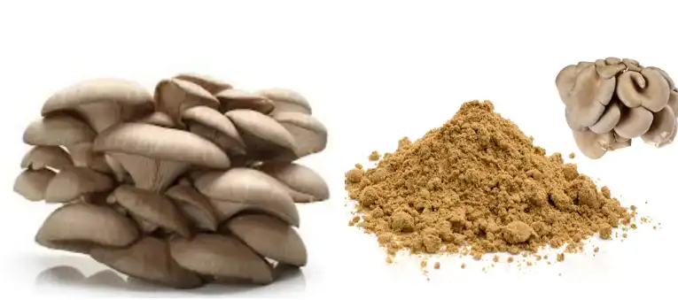 blog-765-339 blog-765-339