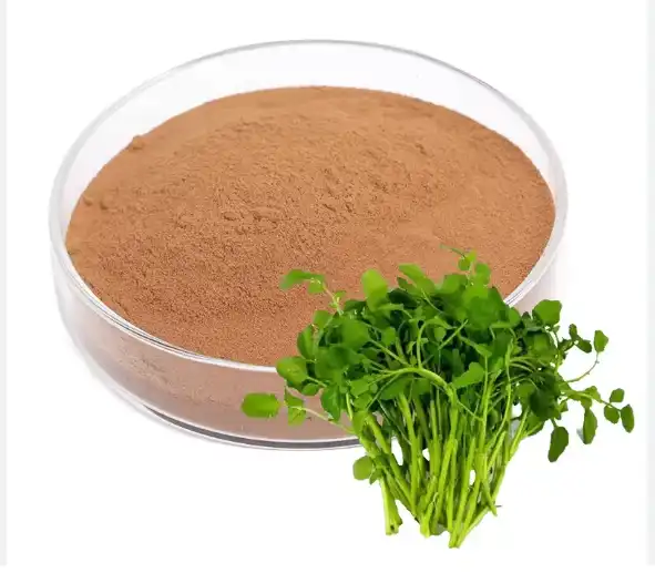 Watercress Extract Powder  Watercress Extract Powder