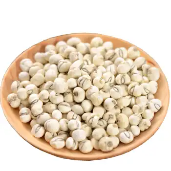 fritillary bulb extract fritillary bulb extract