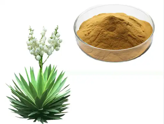 yucca-extract-powder yucca-extract-powder