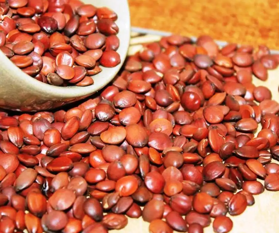 Jujube Seed Powder Jujube Seed Powder