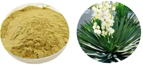 yucca-extract powder