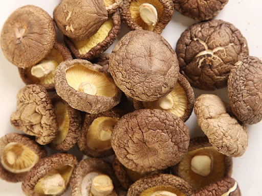 organic-shiitake wellgreen organic-shiitake wellgreen