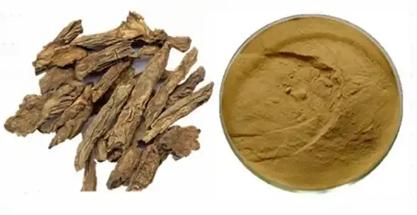 Himalayan Teasel Root Extract Himalayan Teasel Root Extract