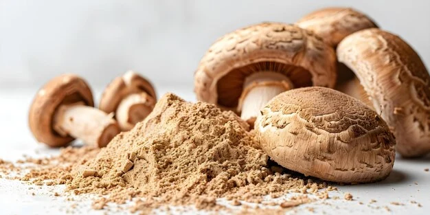 organic-shiitake powder organic-shiitake powder
