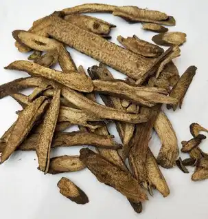 Aplotaxis Auriculata Extract Aplotaxis Auriculata Extract