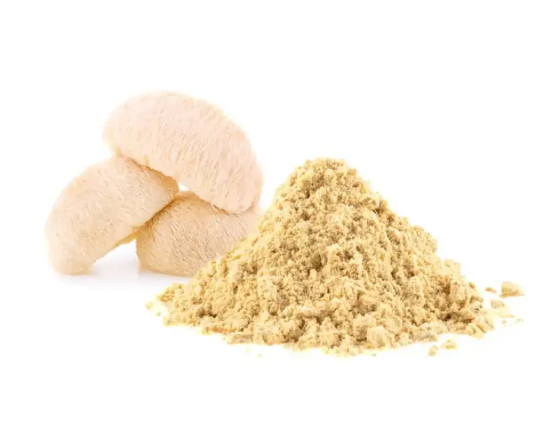 Organic Hericium Erinaceus Powder Organic Hericium Erinaceus Powder
