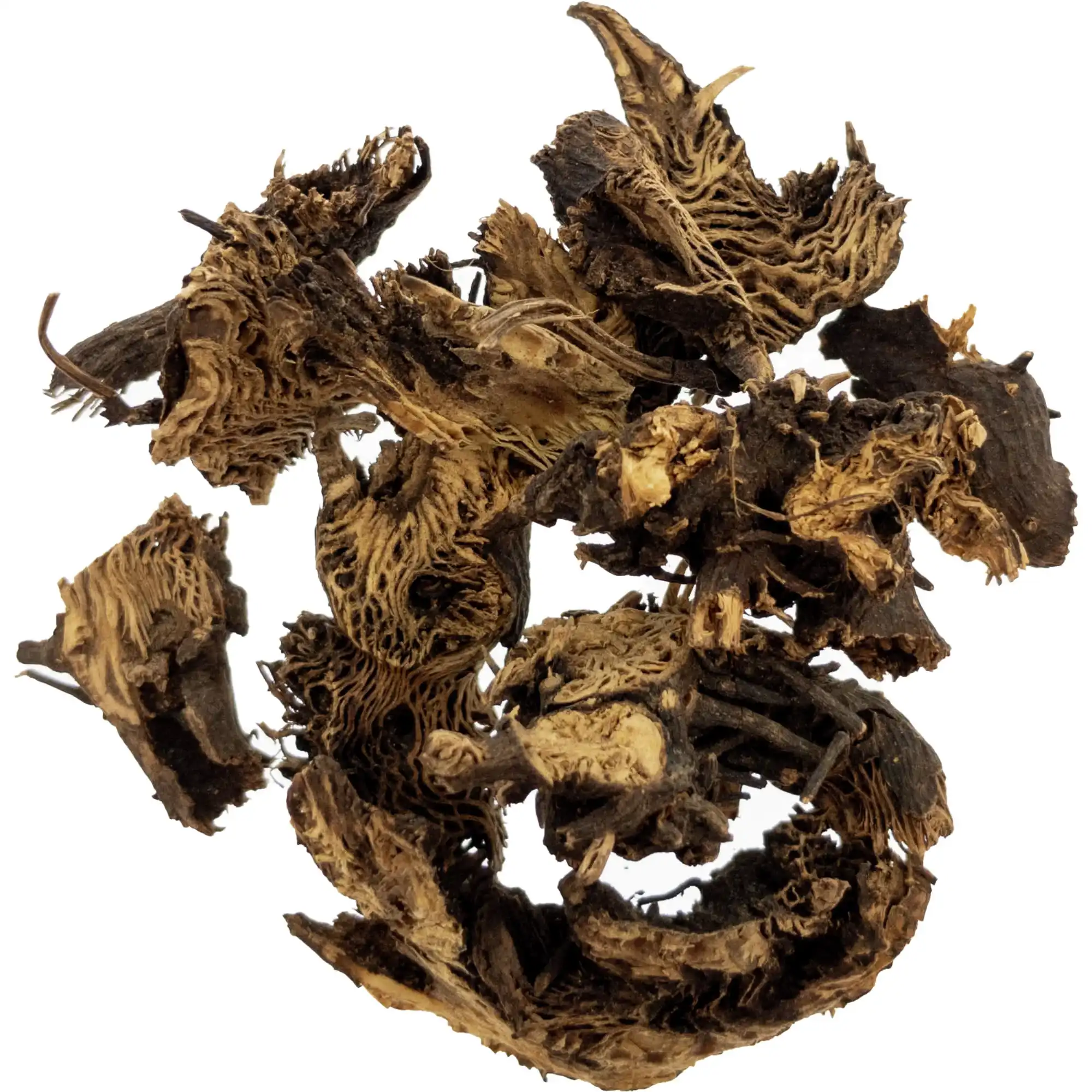 rhizoma-cimicifugae-extract rhizoma-cimicifugae-extract