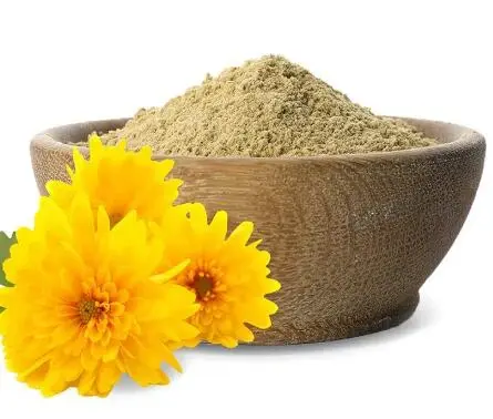 Wild Chrysanthemum Extract Wild Chrysanthemum Extract