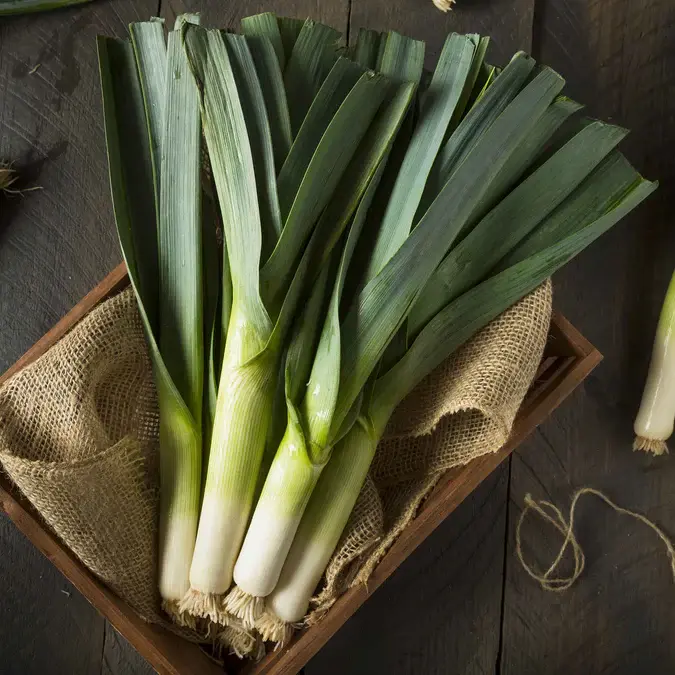 leek seed