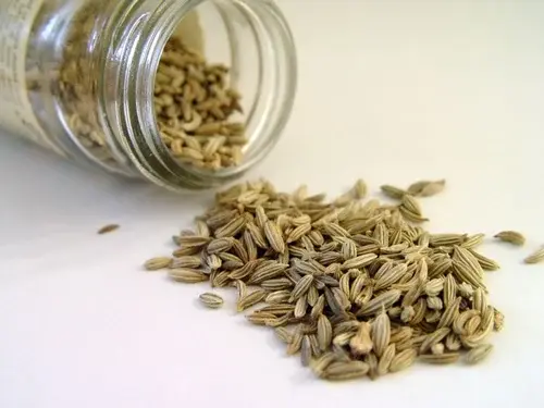 fennel-seed-extract-powder fennel-seed-extract-powder