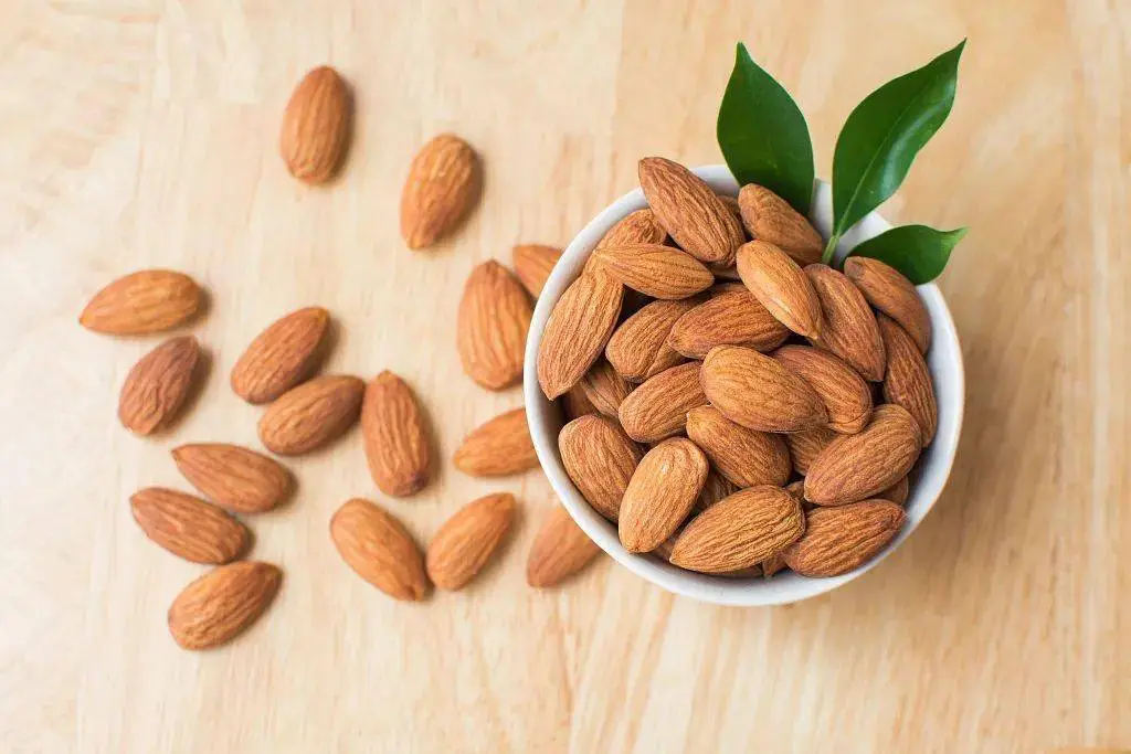 Bitter Apricot  Bitter Apricot