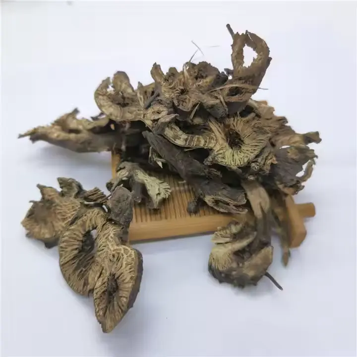 Rhizoma Cimicifugae Extract Rhizoma Cimicifugae Extract