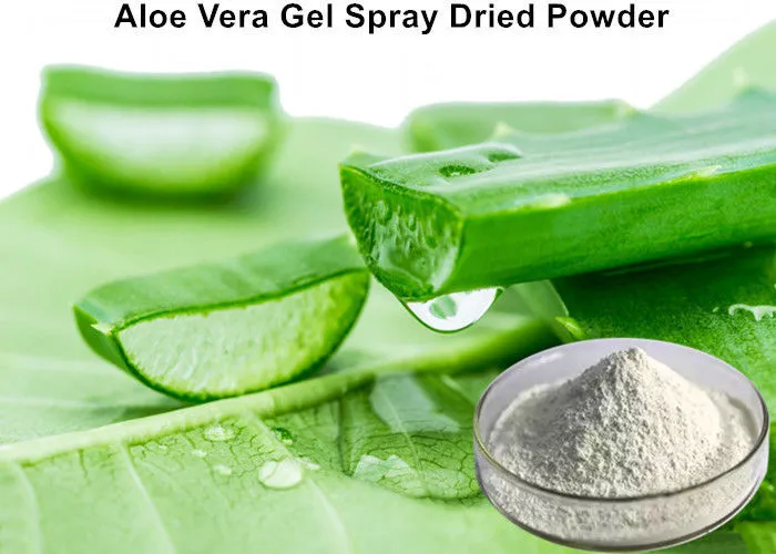 spray-dried-aloe-vera-gel-powder spray-dried-aloe-vera-gel-powder