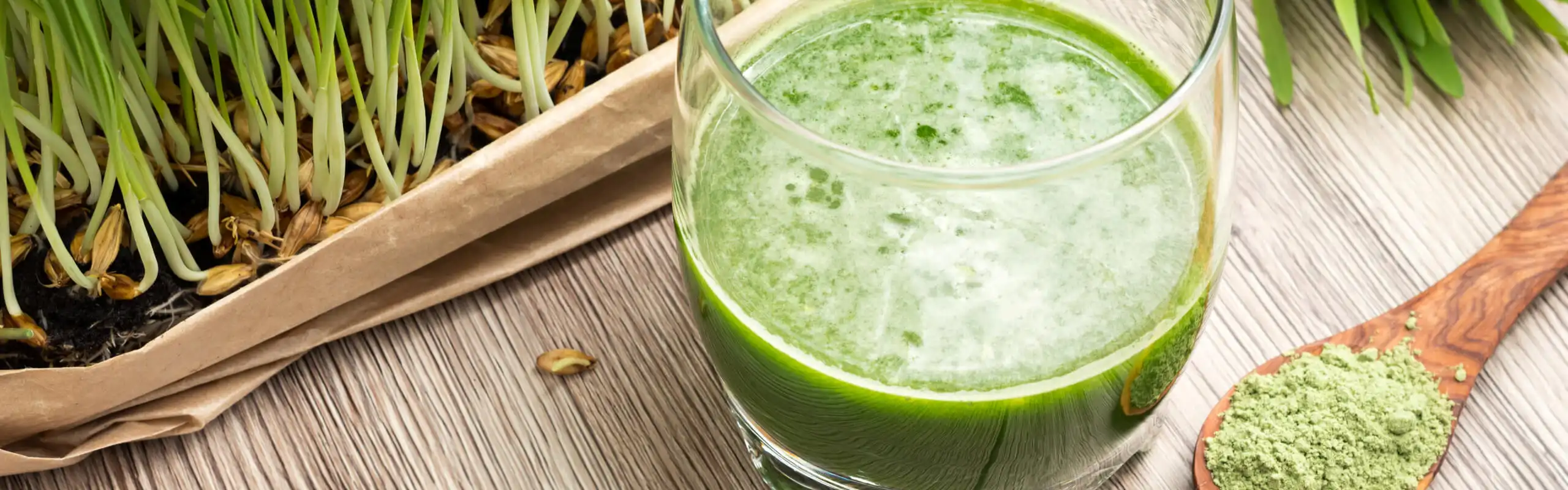 Barley Grass Benefits powder
