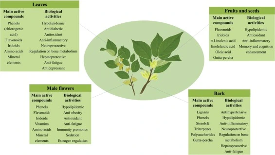 product-1-1 product-1-1