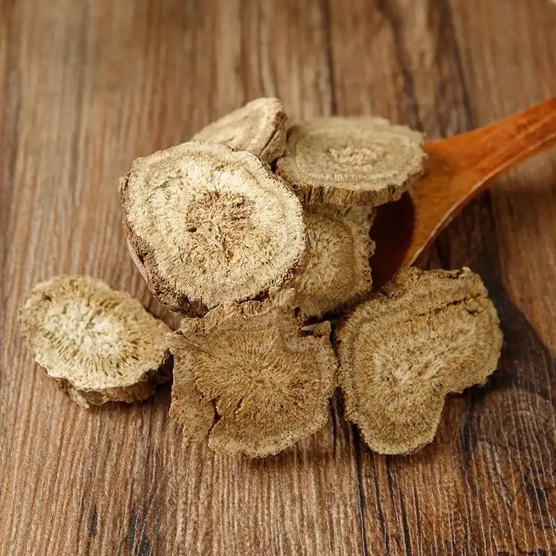 aplotaxis auriculata extract