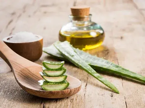 Aloe Vera Powder Aloe Vera Powder