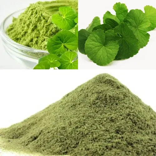 Pure Centella Asiatica Extract Pure Centella Asiatica Extract