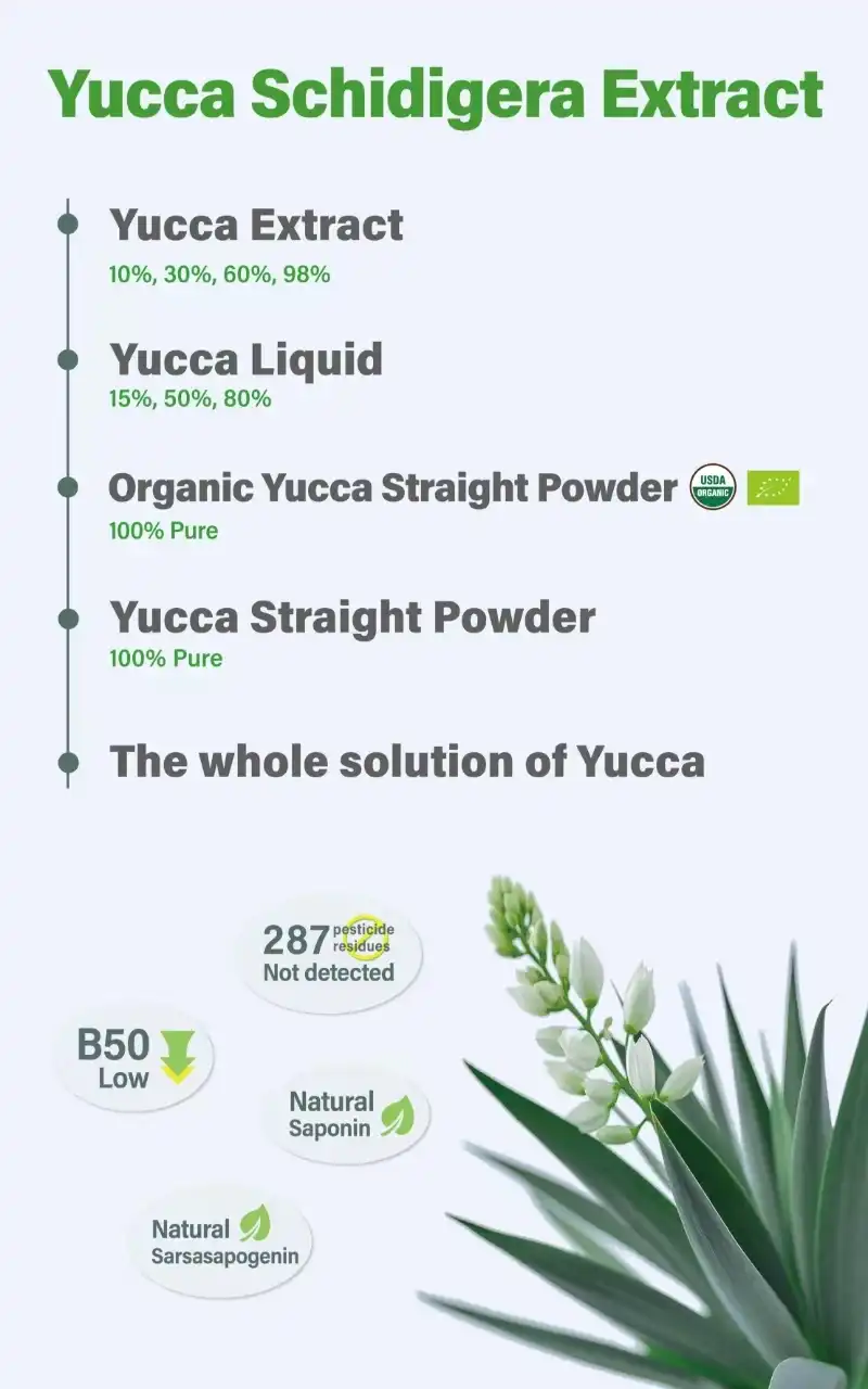 yucca yucca