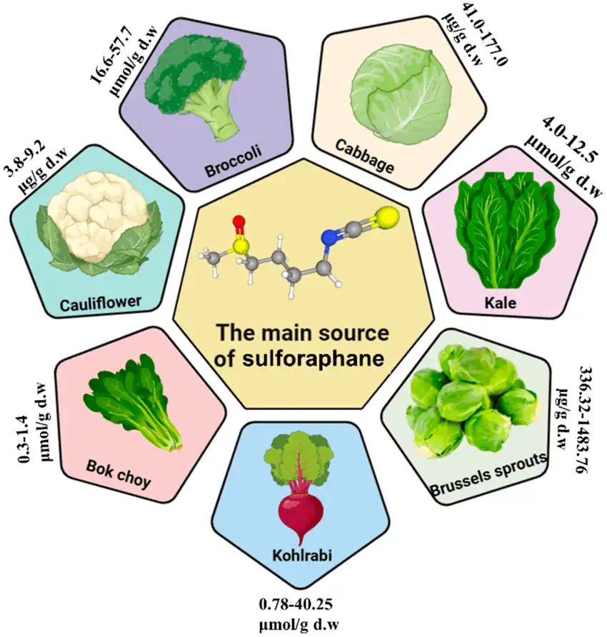 sulforaphane-powder sulforaphane-powder