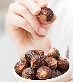 soapnut extract soapnut extract