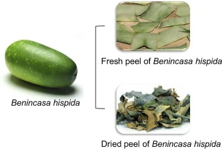 benincasa-hispida-peel-extract benincasa-hispida-peel-extract
