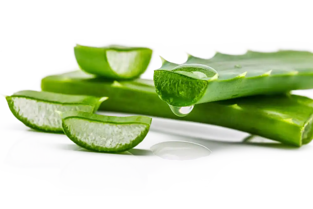 product-1-1 product-1-1