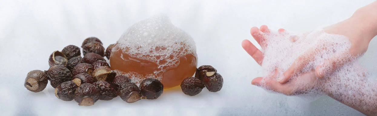 soapnut extract suppliers